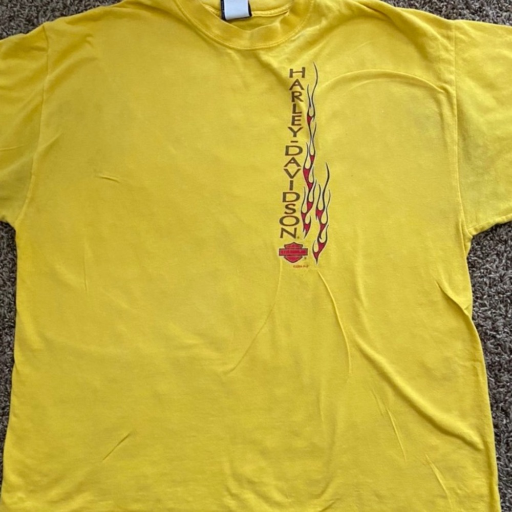 Harley Davidson Graphic T Shirt